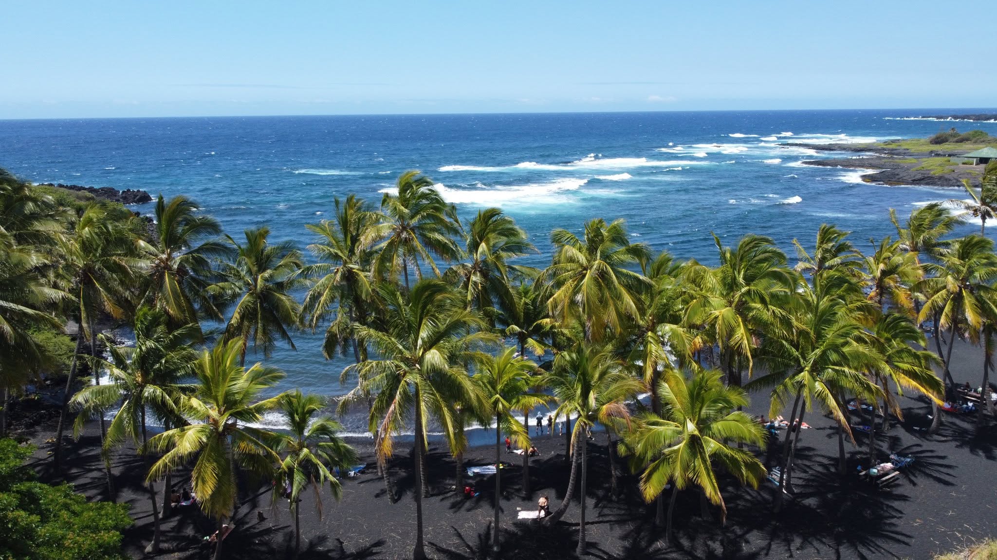 Palms above the black-sand shore
