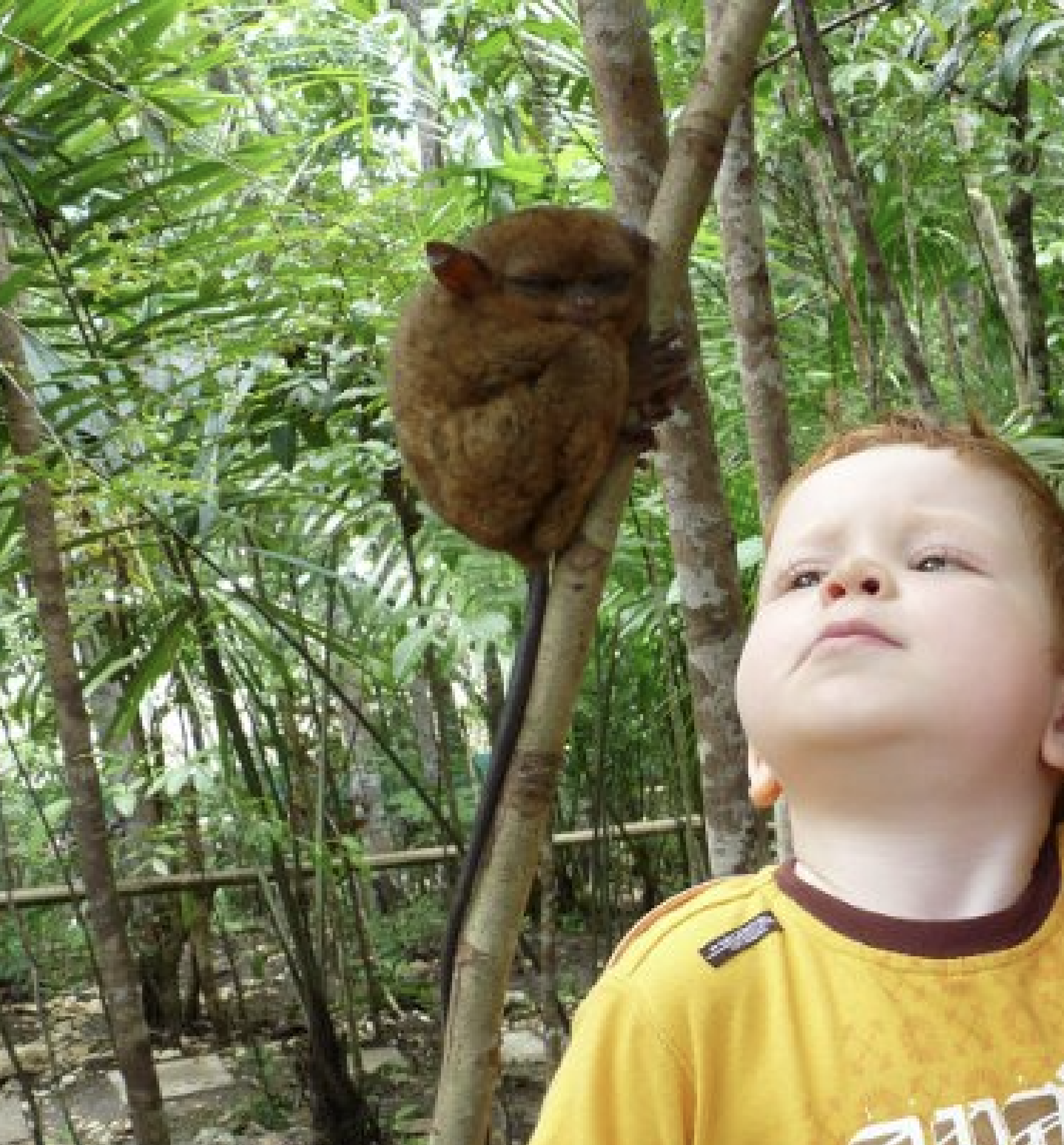 Small animal. Great care.